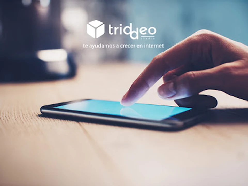 Agencia SEO SEM Triddeo