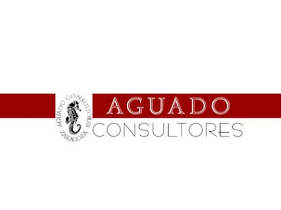 AGUADO CONSULTORES - Enrique Aguado Aguarón