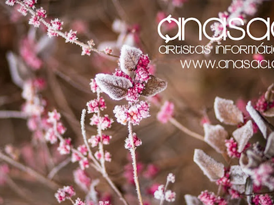 Anasaci