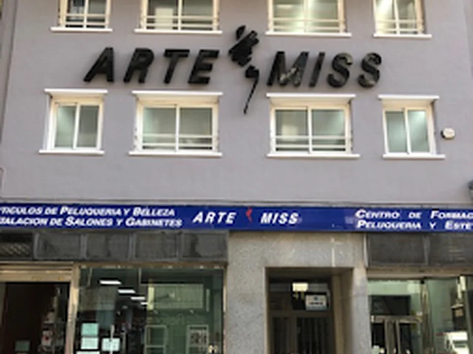 ARTE-MISS