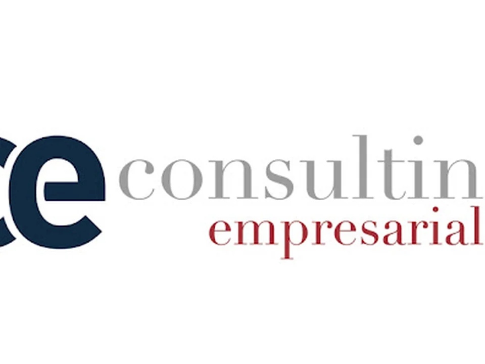 CE Consulting