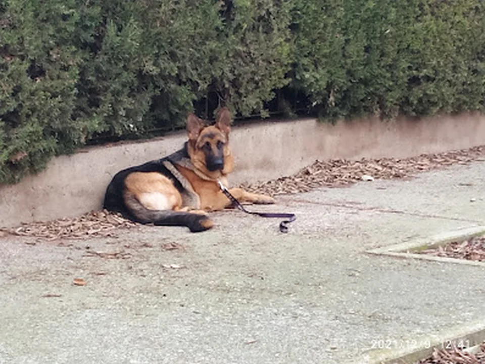Centro Canino Usurbe