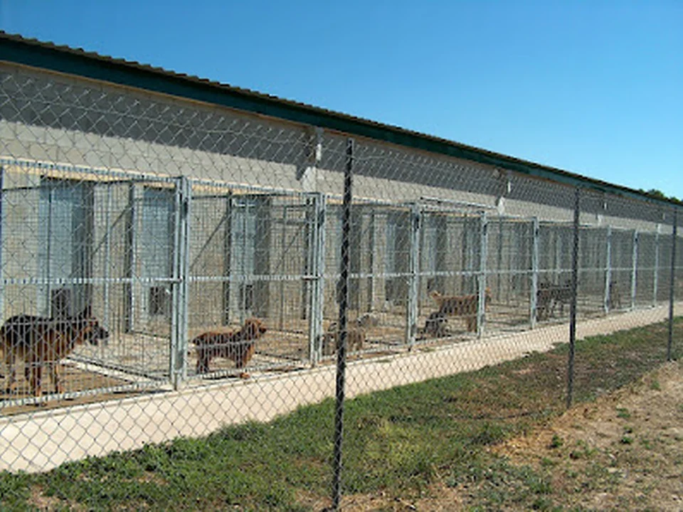 Guardería de Animales Las Jaras
