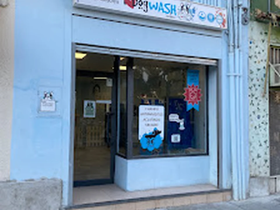 I Love Dog Wash | Zaragoza - Autolavado de mascotas