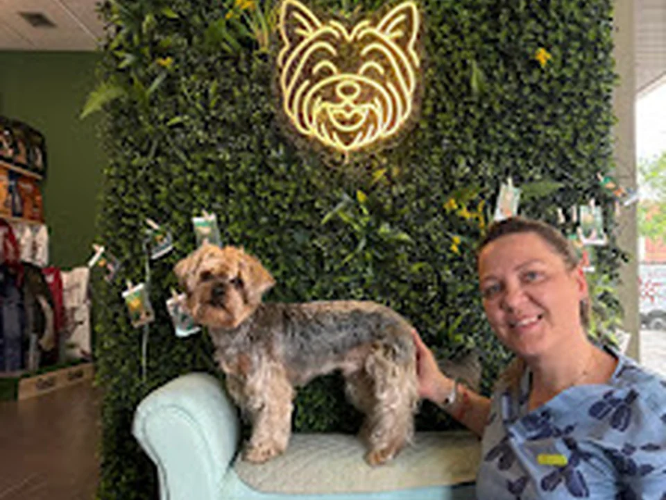 Milacky | Peluquería canina en Zaragoza