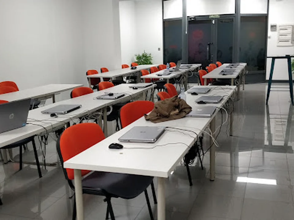 Wanatop | Agencia de Marketing Digital