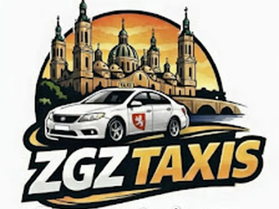 zaragozataxis.com