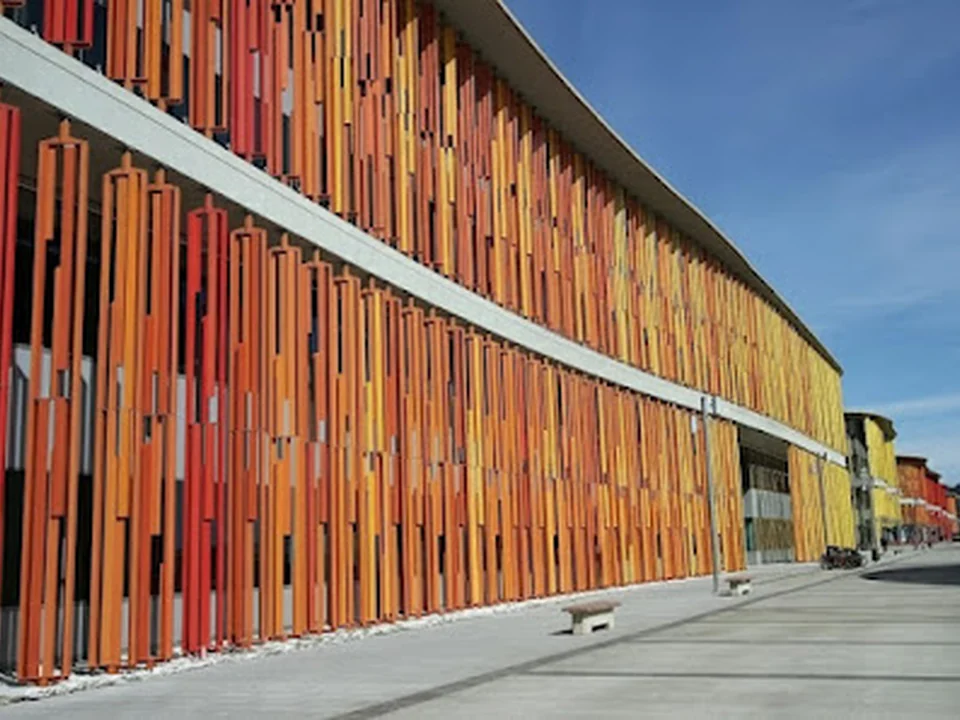 Zonsai | Diseño Web Zaragoza
