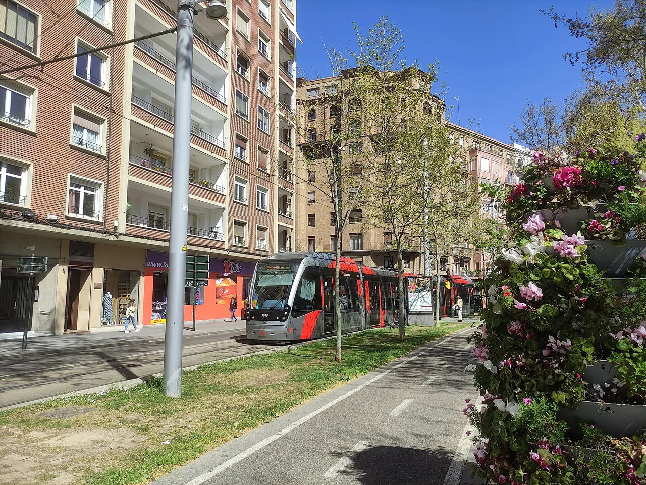 Tranvía de Zaragoza junto a una avenida arbolada